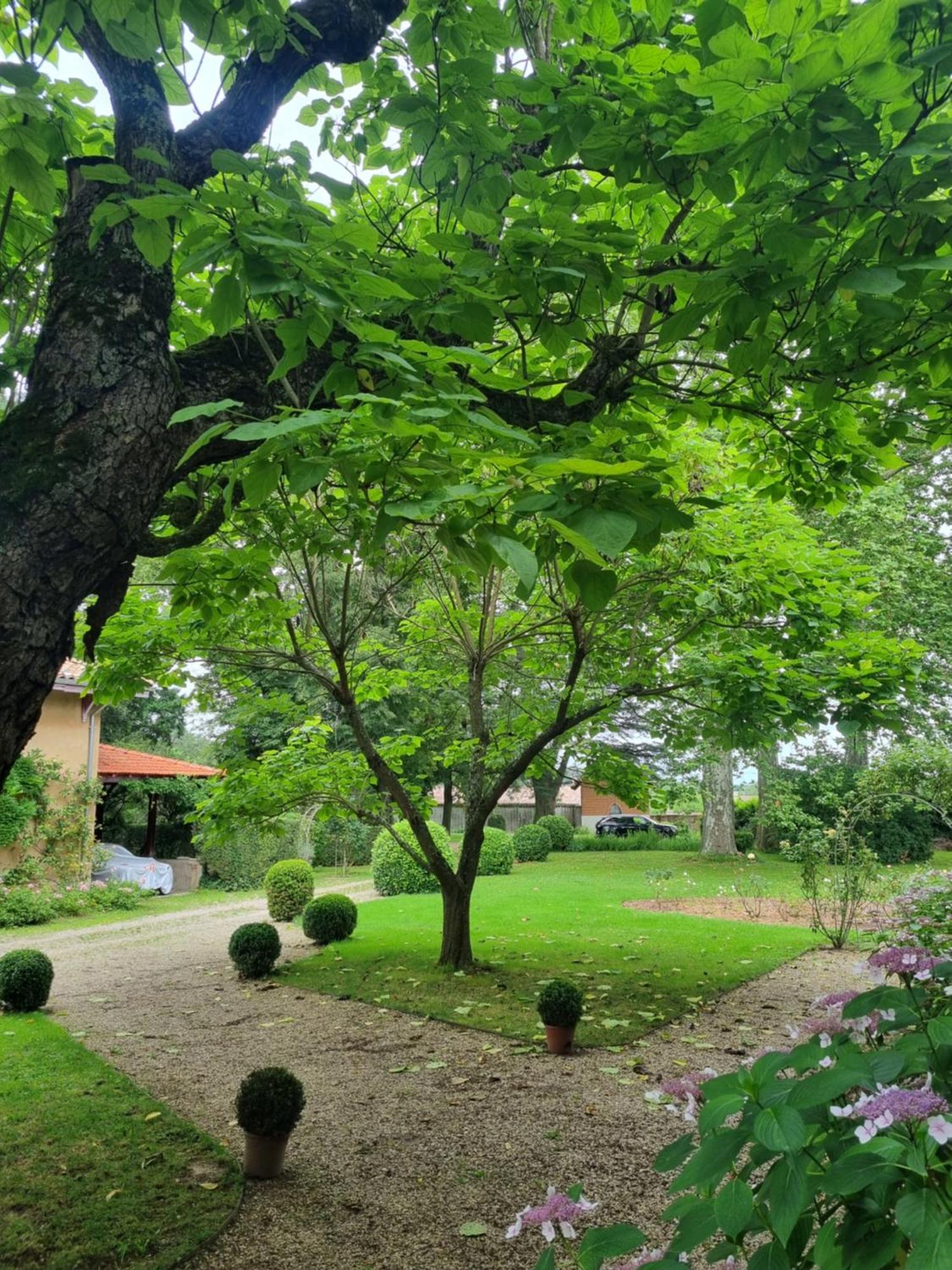 Chateau Des Charmes Bed & Breakfast Guereins Exterior photo